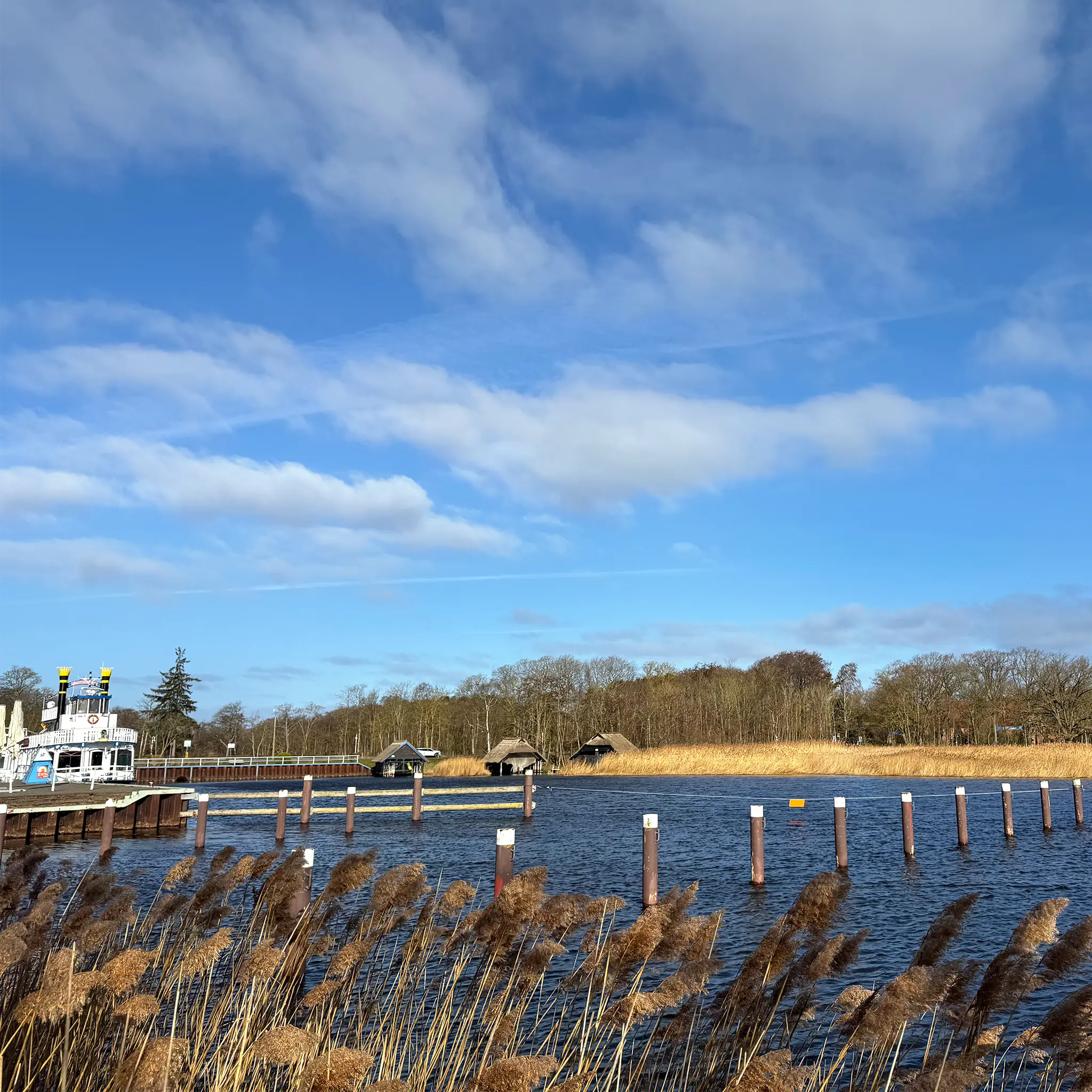 Bild Dampferfahrt auf dem idyllischem Darßer Bodden