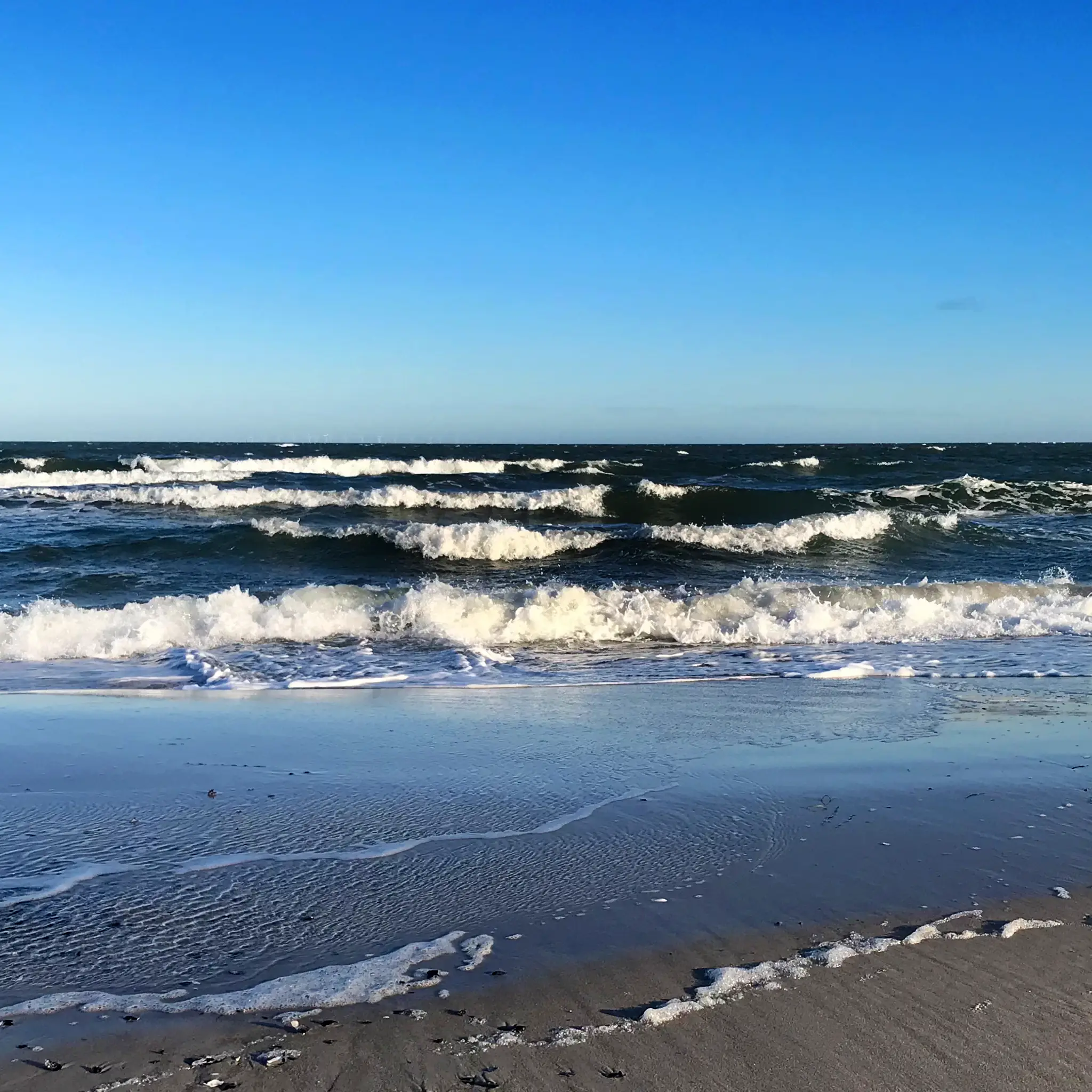 Headerbild Startseite - Ostsee bei strahlend blauem Himmel